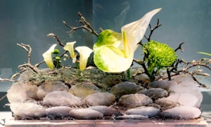 Blumenladen Bottrop - Blütenecht